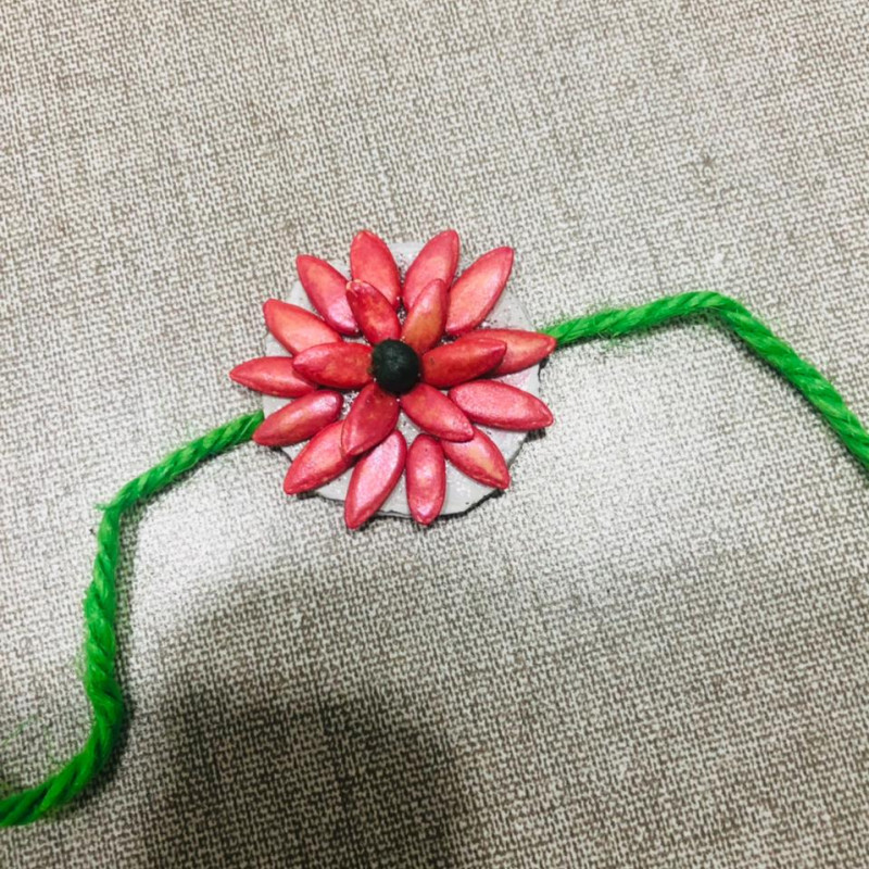 Eco Friendly Rakhi With Plantable Seed - Muskmelon And okra