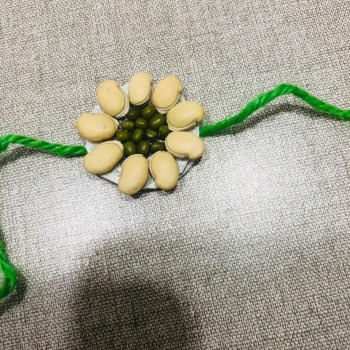 Eco Friendly Rakhi With Plantable Seed - Green Moong And Kidney Beans