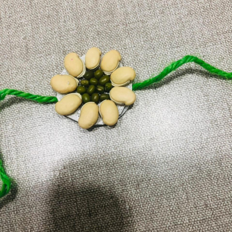 Eco Friendly Rakhi With Plantable Seed - Green Moong And Kidney Beans