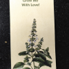 Eco friendly Basil seed rakhi