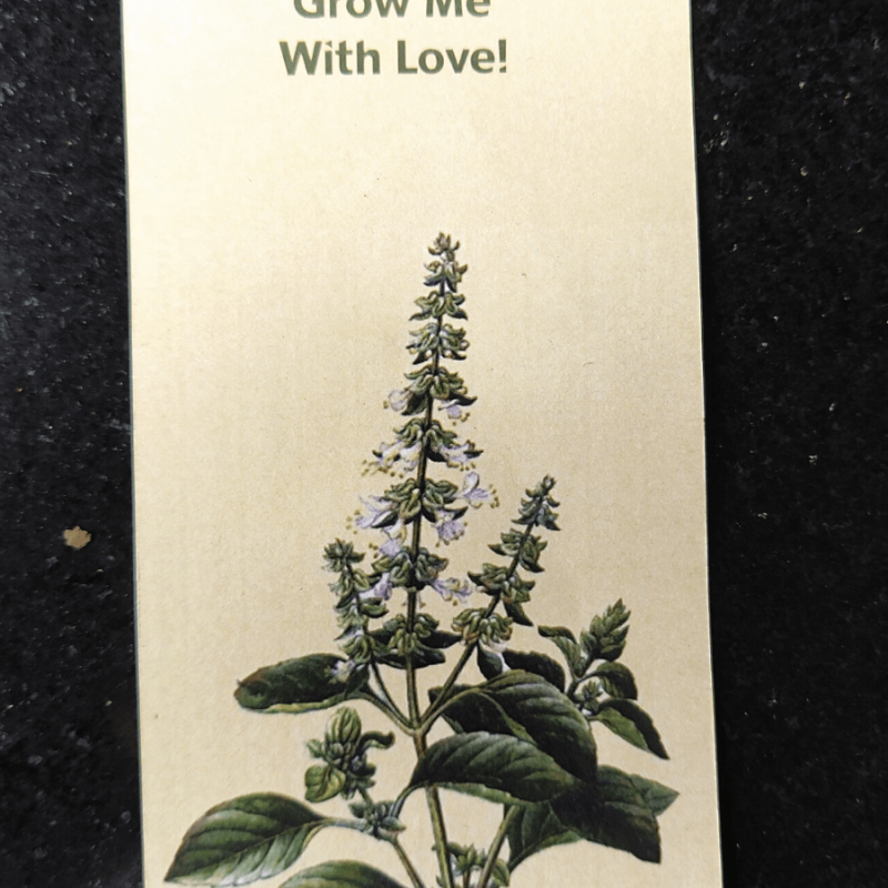 Eco friendly Basil seed rakhi
