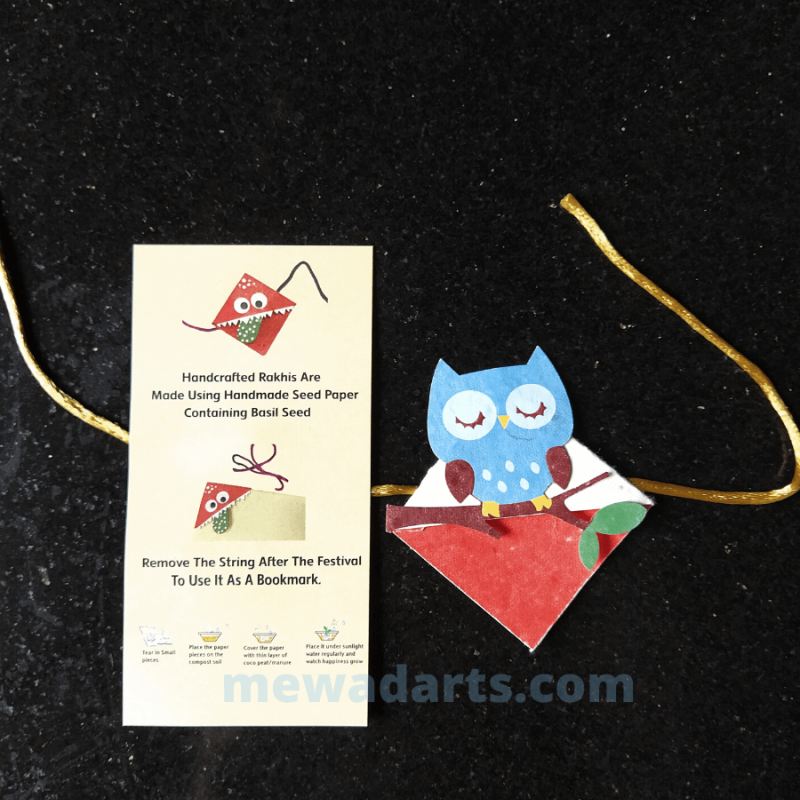 Eco friendly Basil seed Owl rakhi